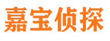 贡井市私人调查